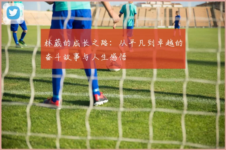 林葳的成长之路：从平凡到卓越的奋斗故事与人生感悟