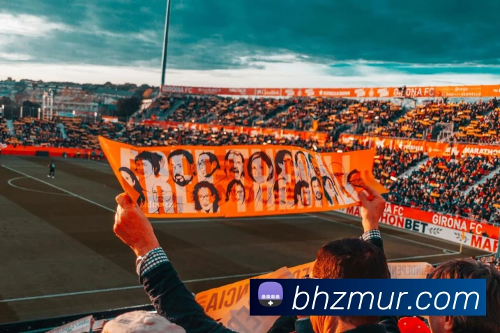 3377体育发展历程