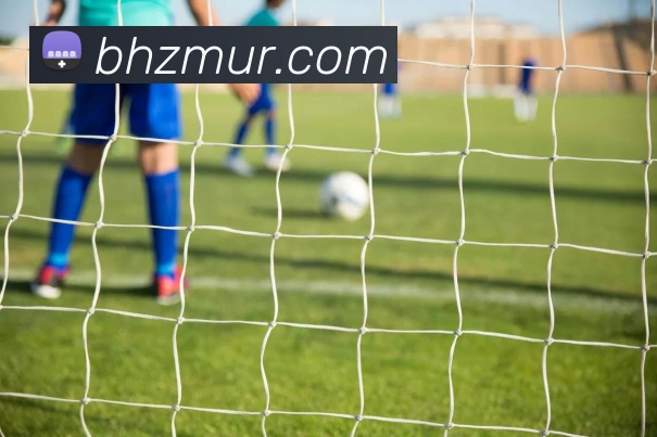 世界杯巅峰对决西班牙勇战法国谁能问鼎荣耀之巅